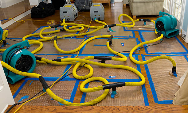 Professional Burst Pipe Water Damage technician working in Ada, MI